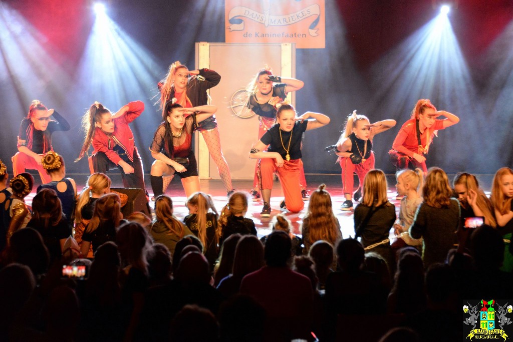 ../Images/Dansmariekefestival 2020 529.jpg